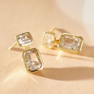 Elegant Gold and Silver Earrings